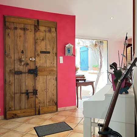 La Douceur - 8p - Maison Familiale Avec Jardin Villa Blagnac